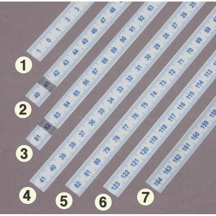 INCRA Lexan Scales 0-41cm