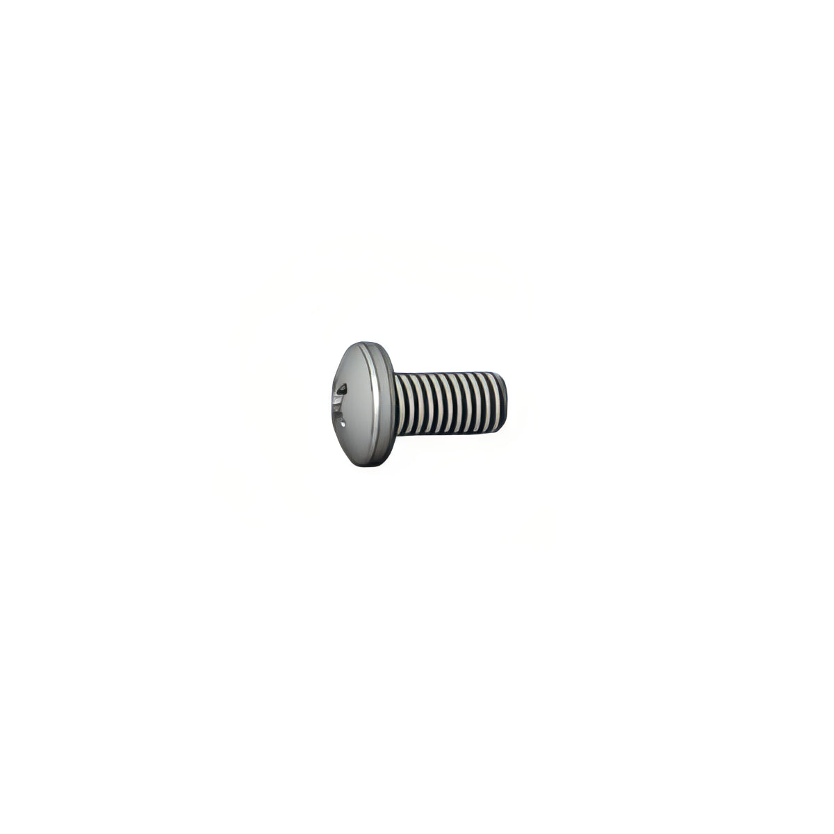 Milescraft Replacement M5 x 0.8 x 10 PHS